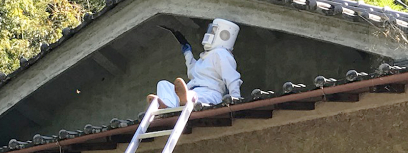 調査
