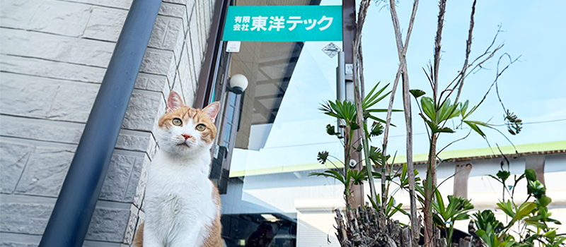 採用メッセージ