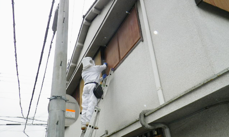 害虫駆除について