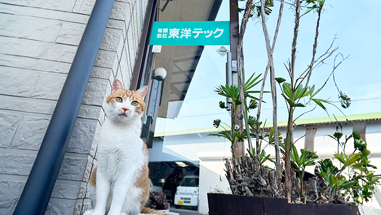 会社概要